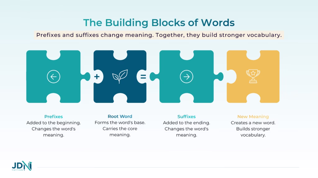Infographic showing root words with prefixes and suffixes as branches.